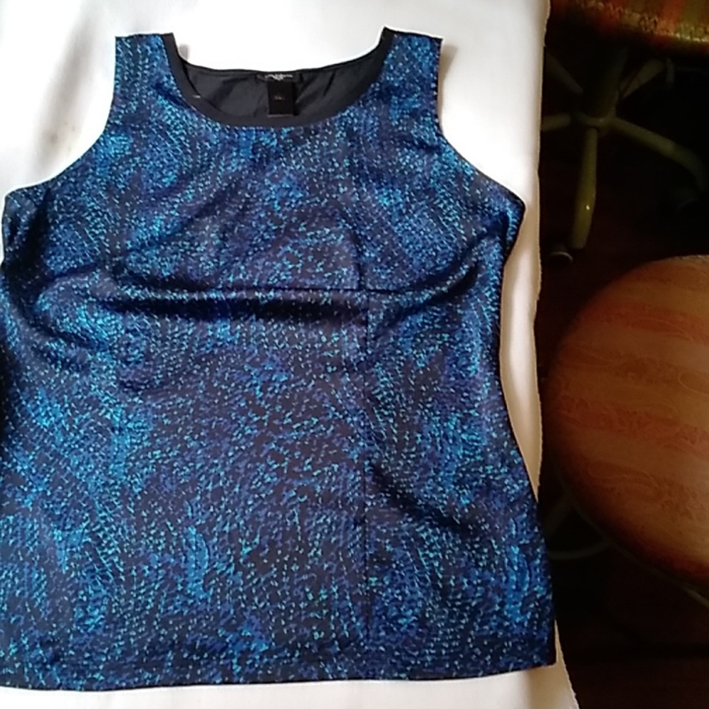 Ann Taylor Evening Top Sz M